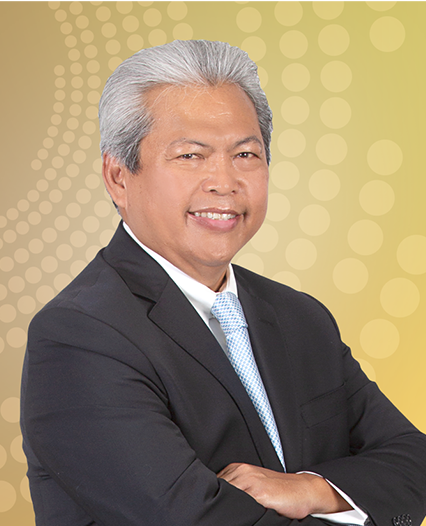 <h5><strong>Budi Bowoleksono/Chairman</strong></h5>